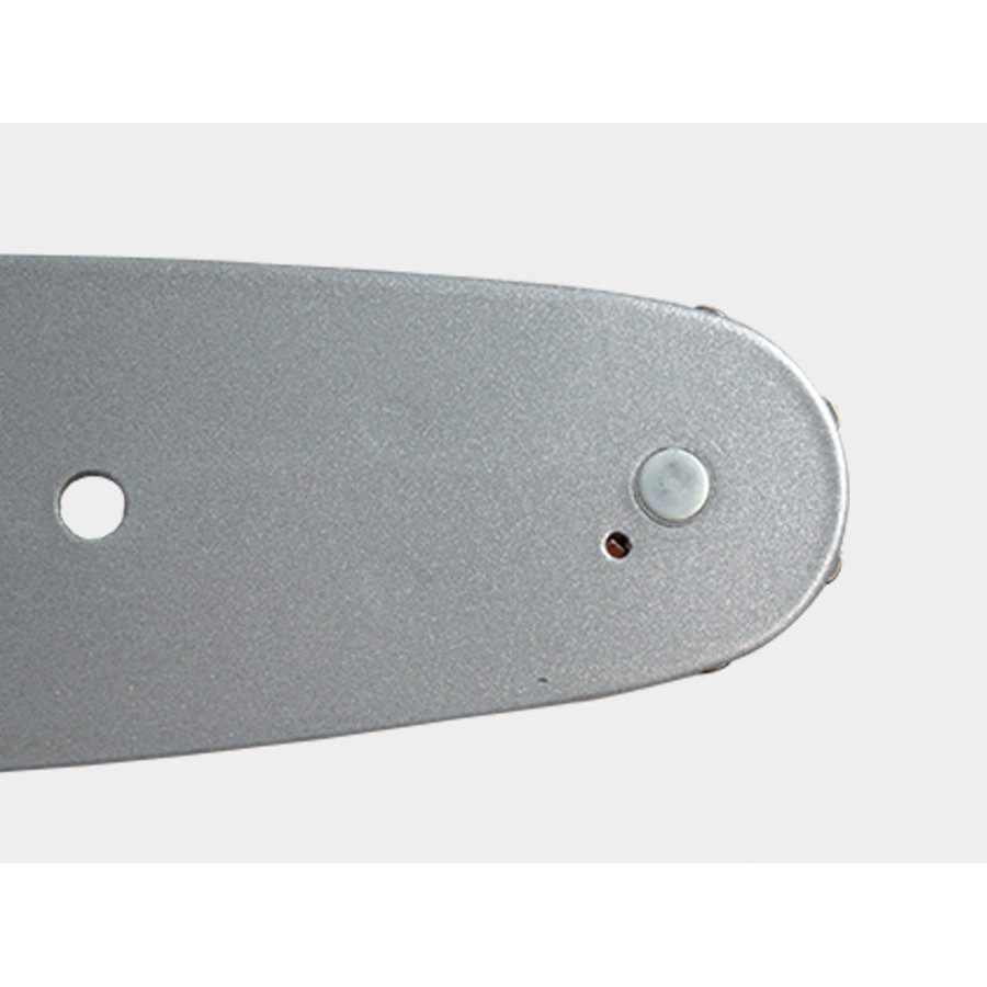 ECHO&reg; 5513138