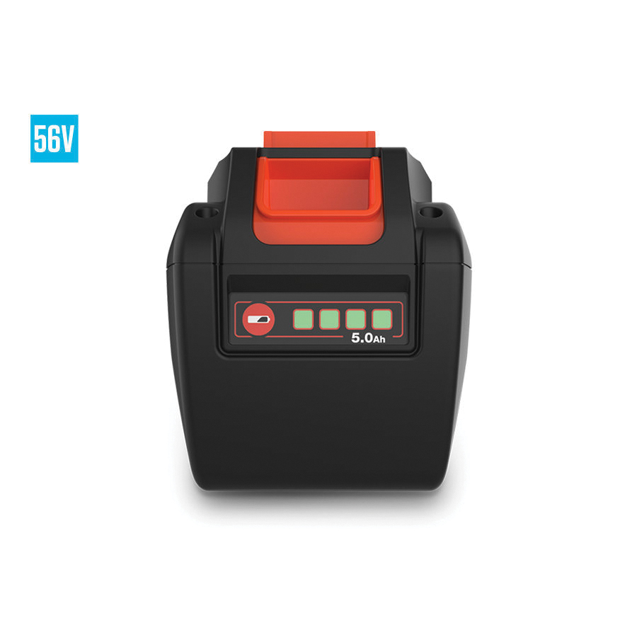 ECHO&reg; 5513198