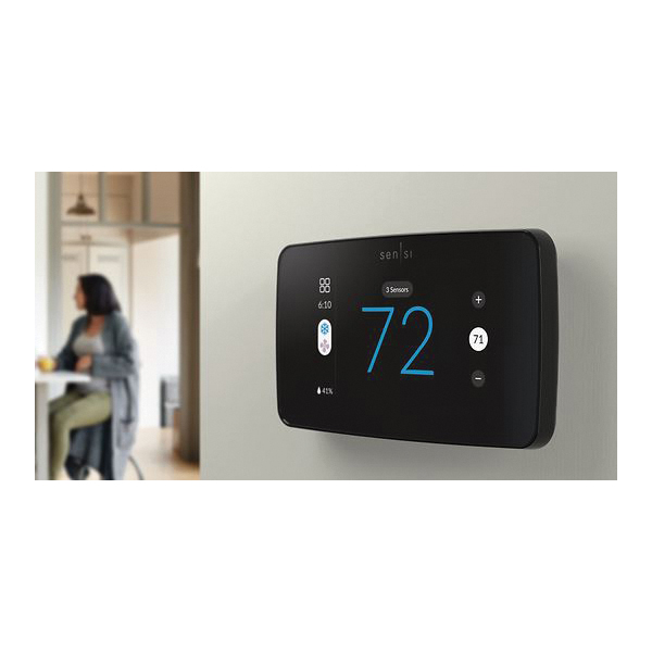 EMERSON™ RS01-SG