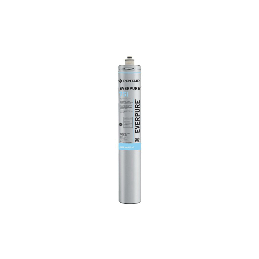 Everpure 9606-01