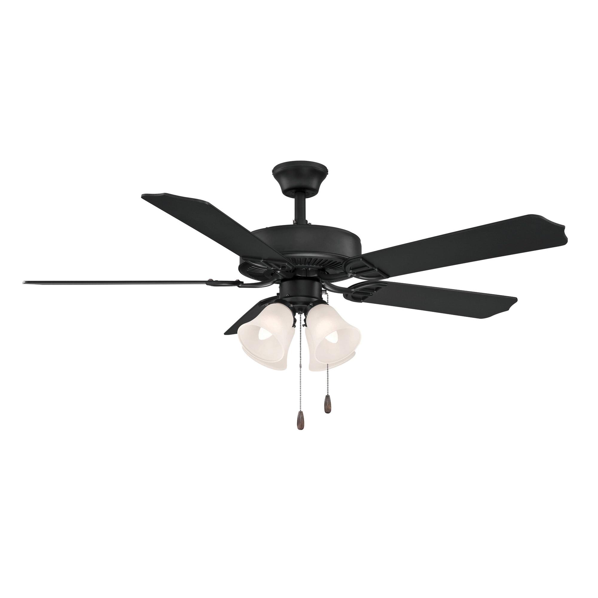 Fanimation® BP210BBL1