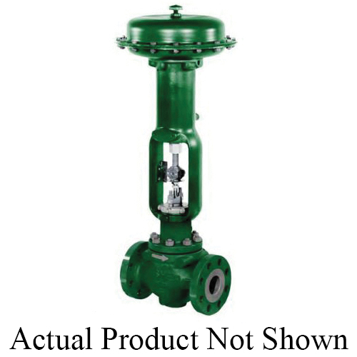FISHER™ 667-ED-DVC6010/AC-2-1/2