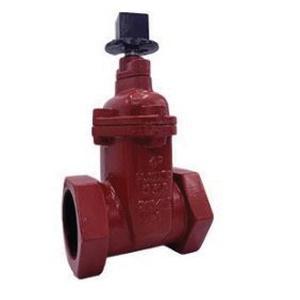 Flomatic&reg; 8563NPT