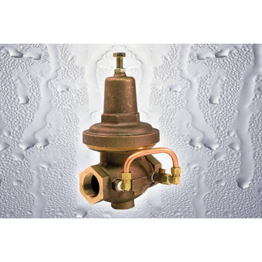 Flomatic® C152102EHF
