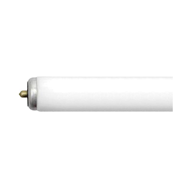 Electrical | Light Bulbs | CAYCE MILL SUPPLY