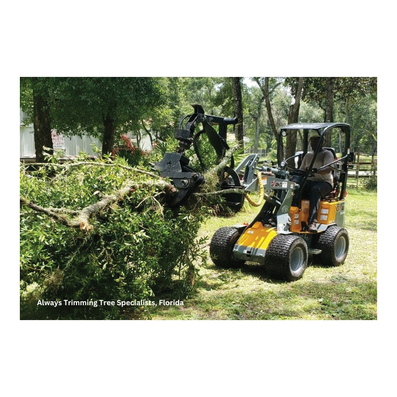 GiANT&reg; G1200