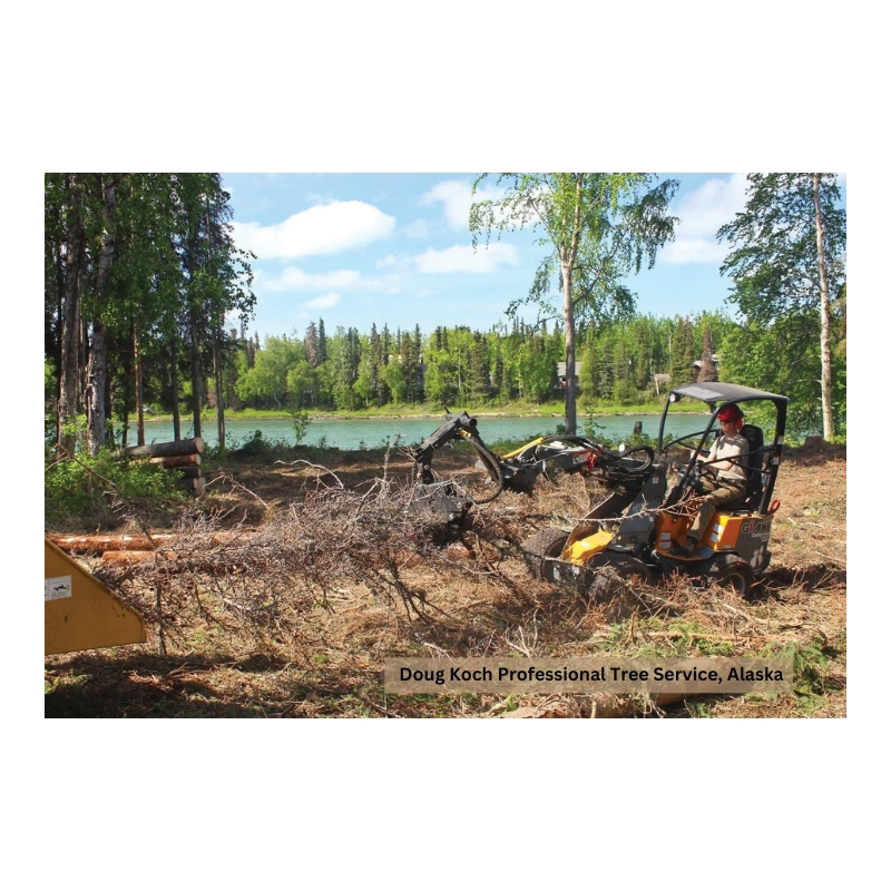 GiANT&reg; G1200 TELE