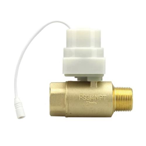 IPS&reg; FS34NPT IPS 20001