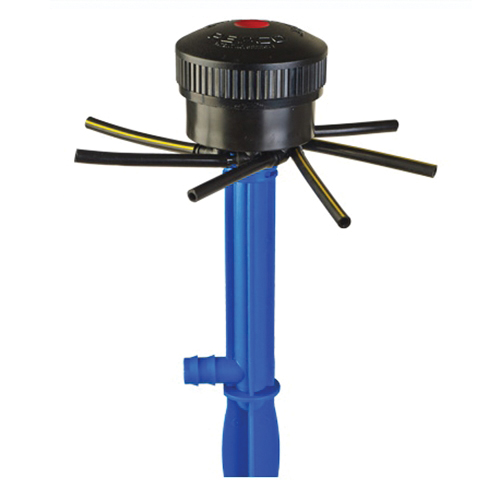 JAIN® 12500732 78G-P896