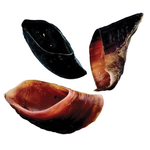 JONES® NATURAL CHEWS 1840