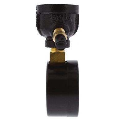 Jones Stephens™ G66030 Gas Test Gauge Assembly, 2 in Dial, 0 to 30 psi, 3/4 in thumbnail 2