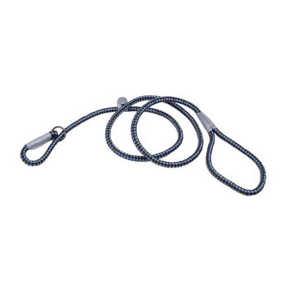 K9 EXPLORER&reg; 36206 SAP06