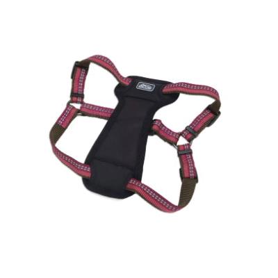 K9 EXPLORER® 36645 BRY24