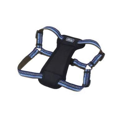 K9 EXPLORER® 36946 SAP38