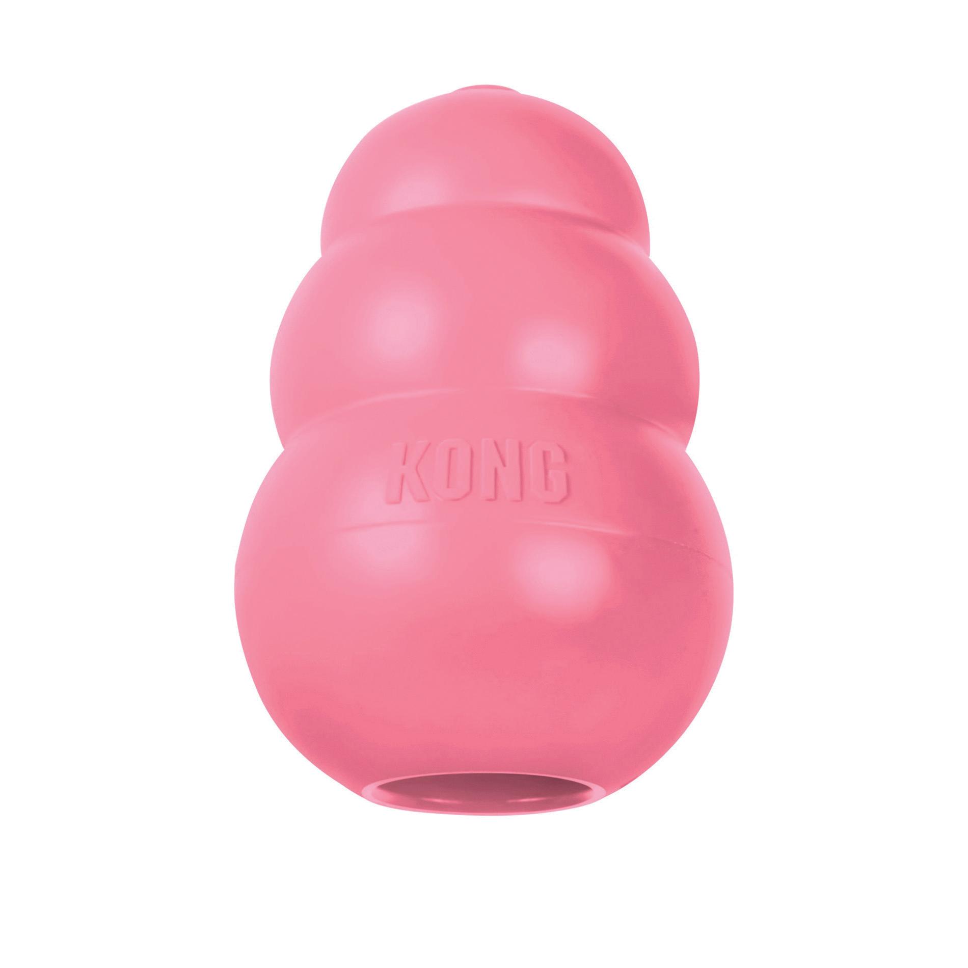 KONG® KP1