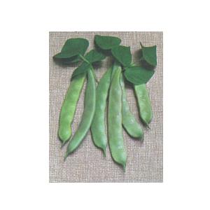 Kimberly Seeds International 86701