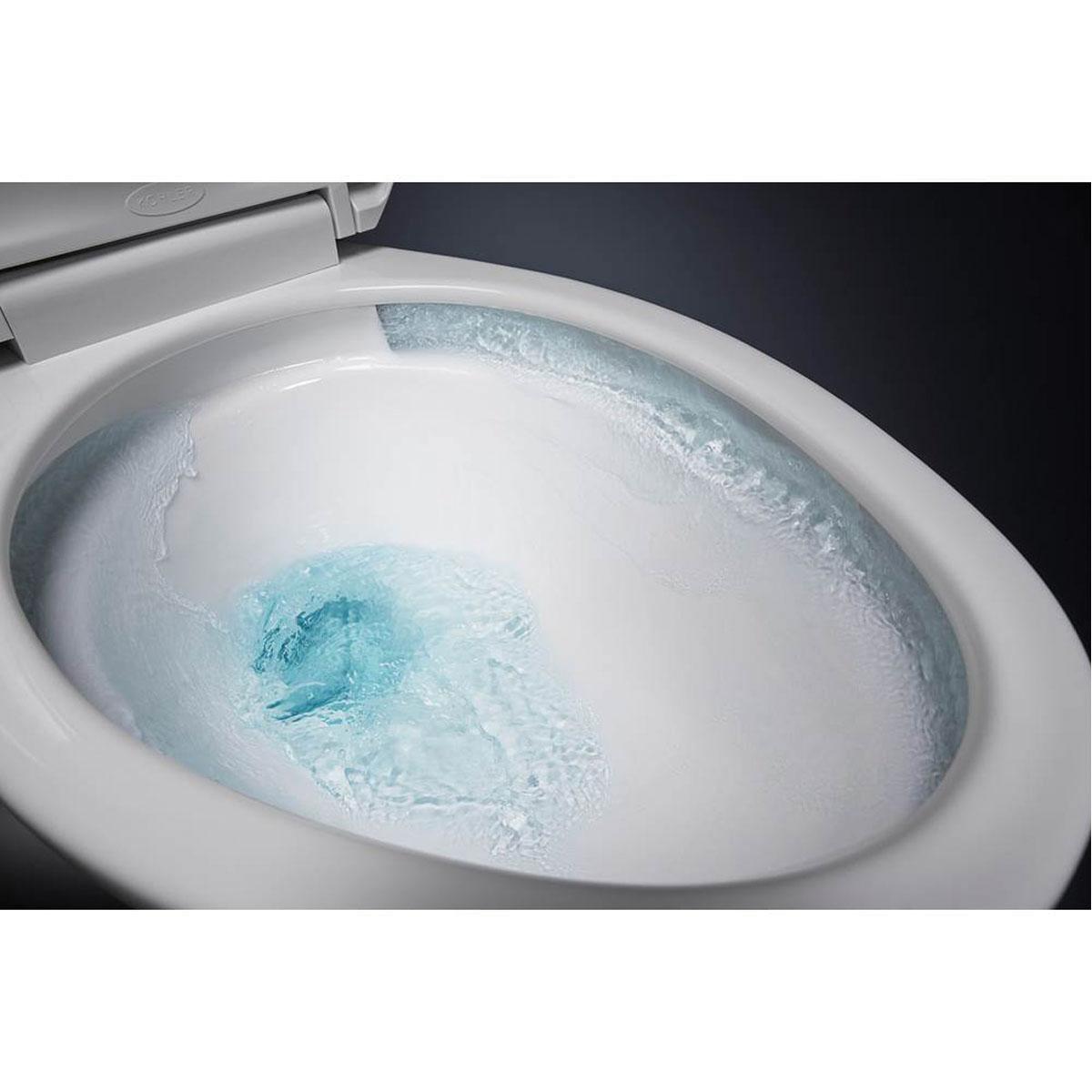 Kohler&reg; K-31588-96 2464389