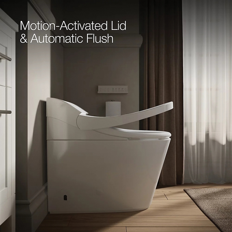 Kohler&reg; K-29777-PA-0 2480760