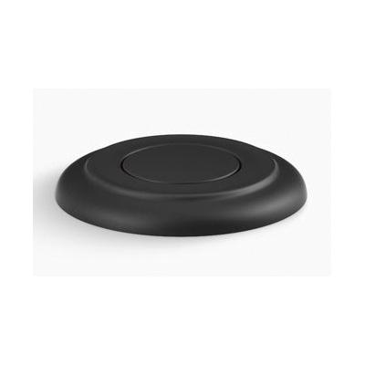 Disposer Control Switches