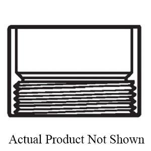Westlake Pipe & Fittings D101030 06A-101030
