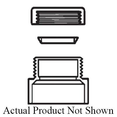 NoImage