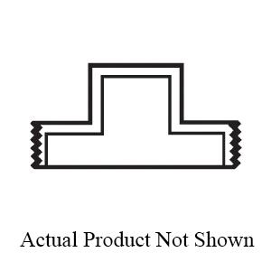 NoImage