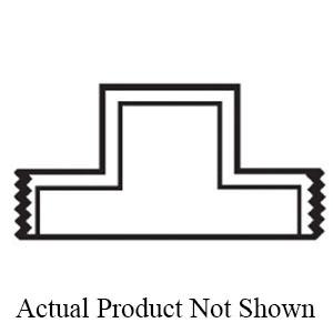 NoImage