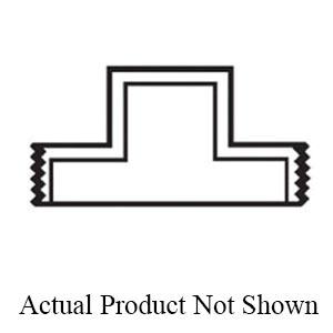 NoImage