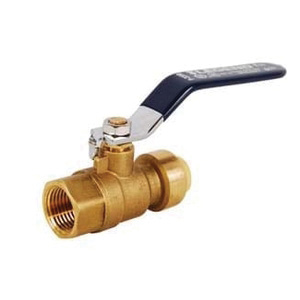 Legend Valve 456-005NL