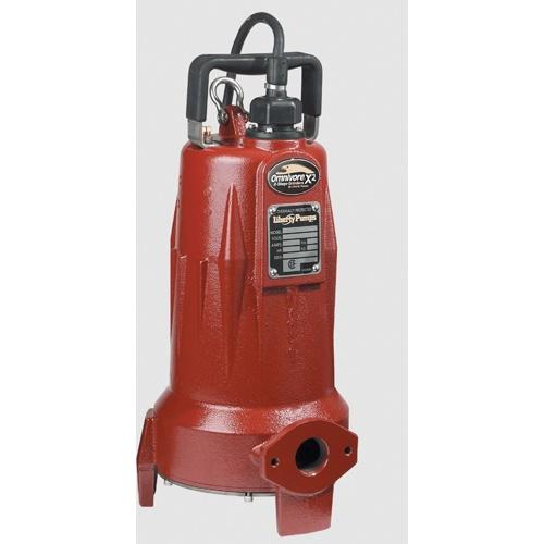 Liberty Pumps&reg; LSGX202M-3