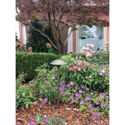 Lite the Nite BP118BZ 89-LTN-BP118BZ