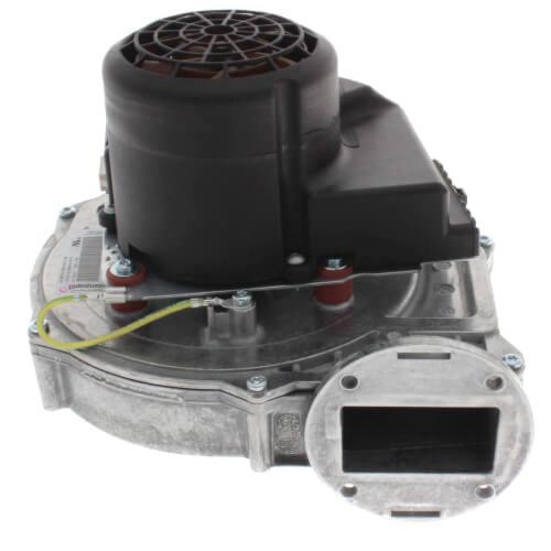 Lochinvar® 100145006 LOC100145006
