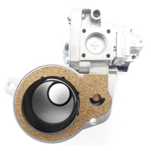 Lochinvar® 100171949