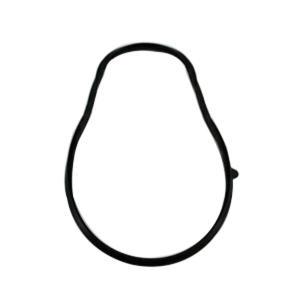 Lochinvar&reg; 100208093 LOC100208093