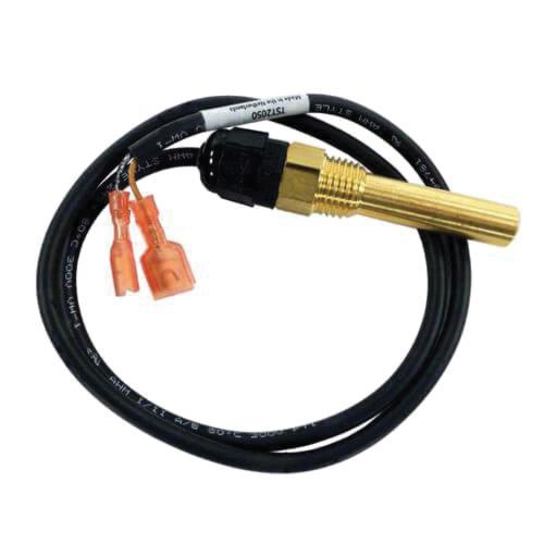 Lochinvar&reg; 100208553 LOC100208553