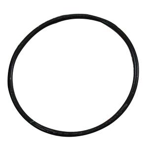 Lochinvar&reg; 100208761 LOC100208761