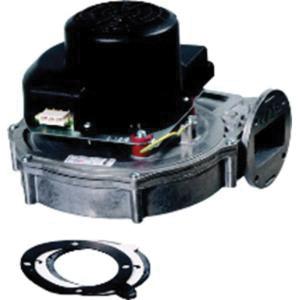 Lochinvar&reg; 100266999 LOC100266999