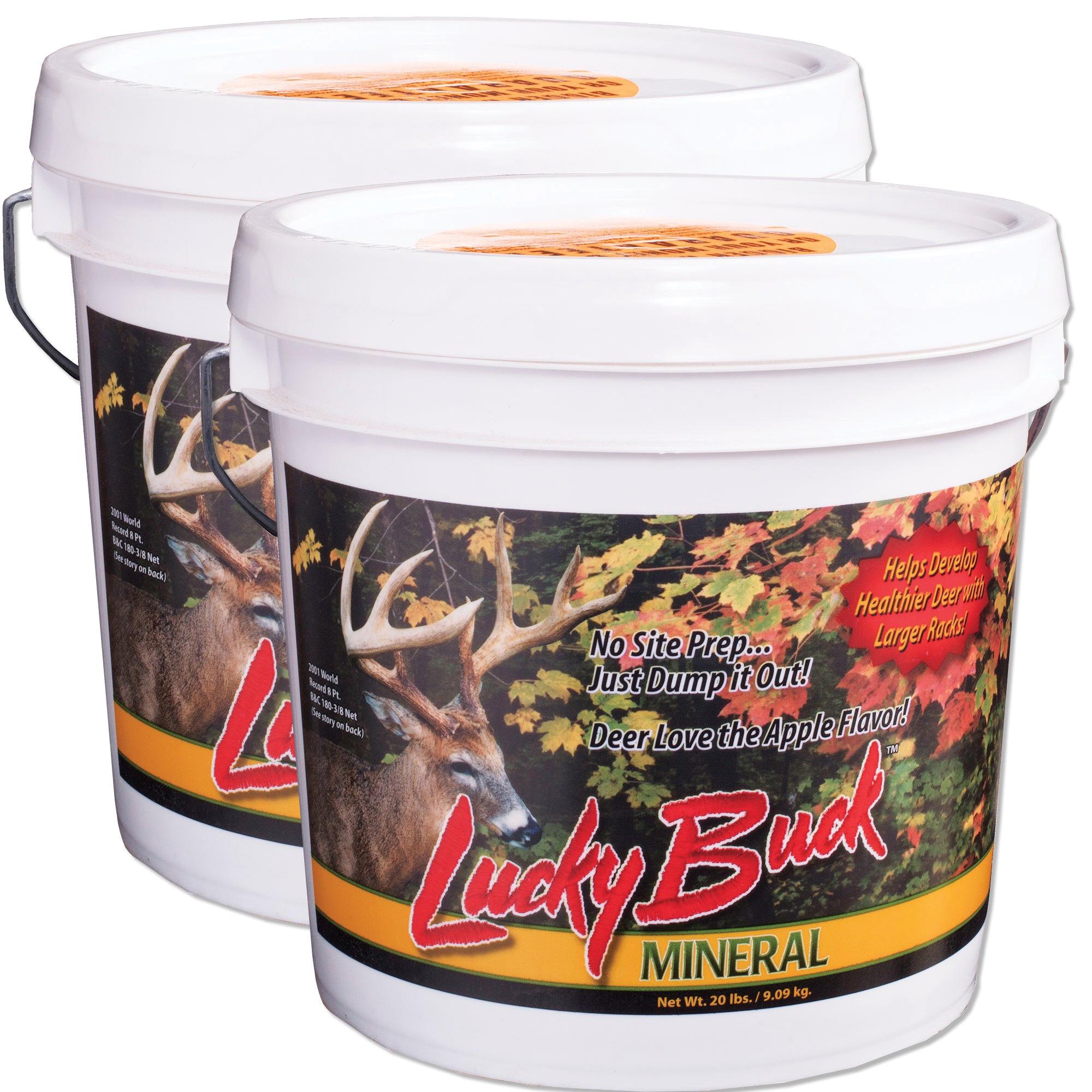 Lucky Buck™ LBM20