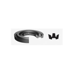 MFP SEALS WP1125X1625-FBF