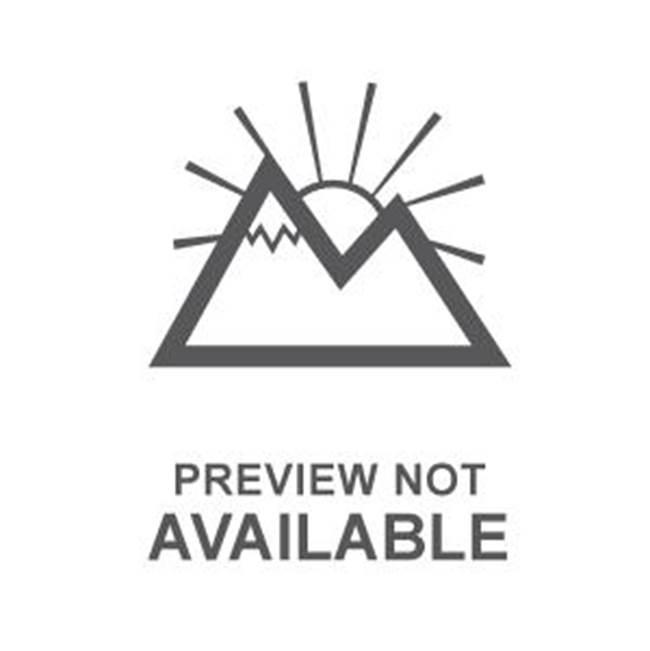 Moen&reg; N207C0SRN 2465697