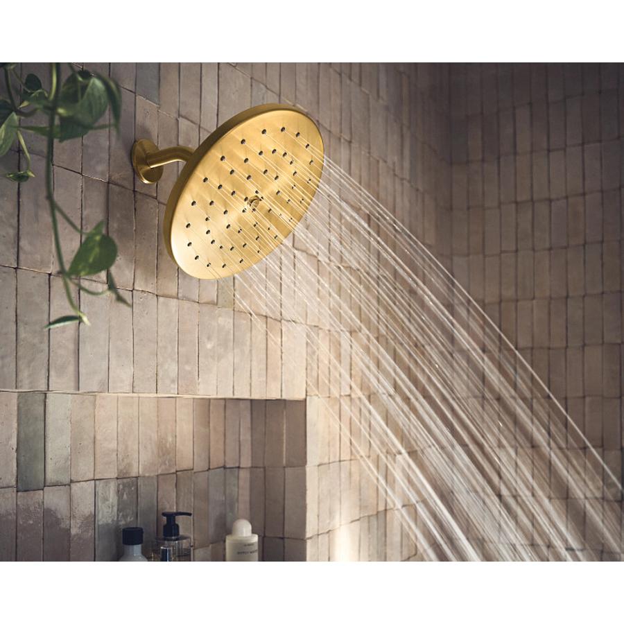 Moen&reg; S112BG 195664