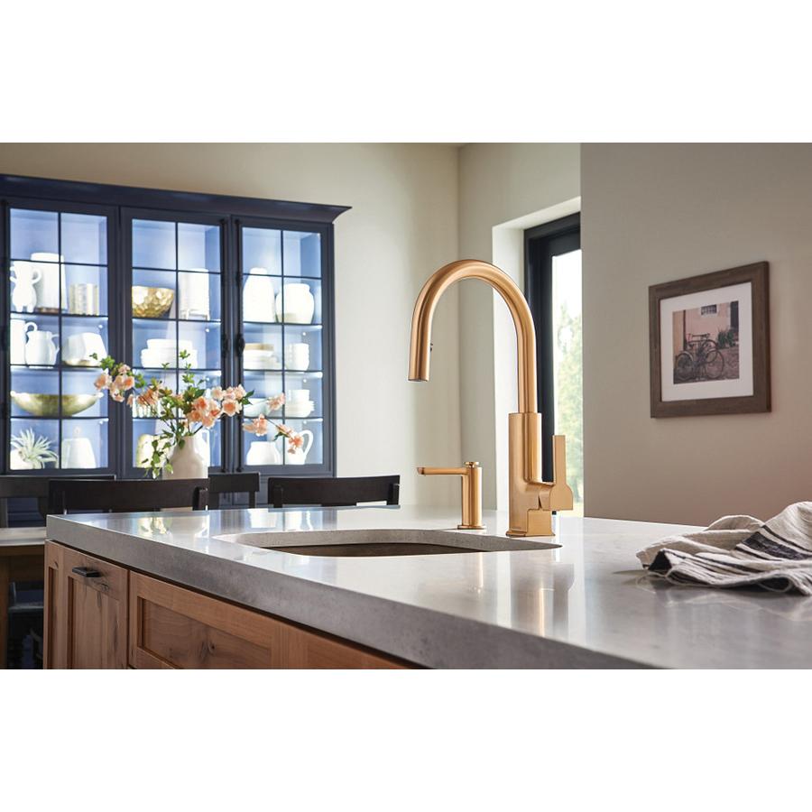 Moen&reg; S3947BG 2463300