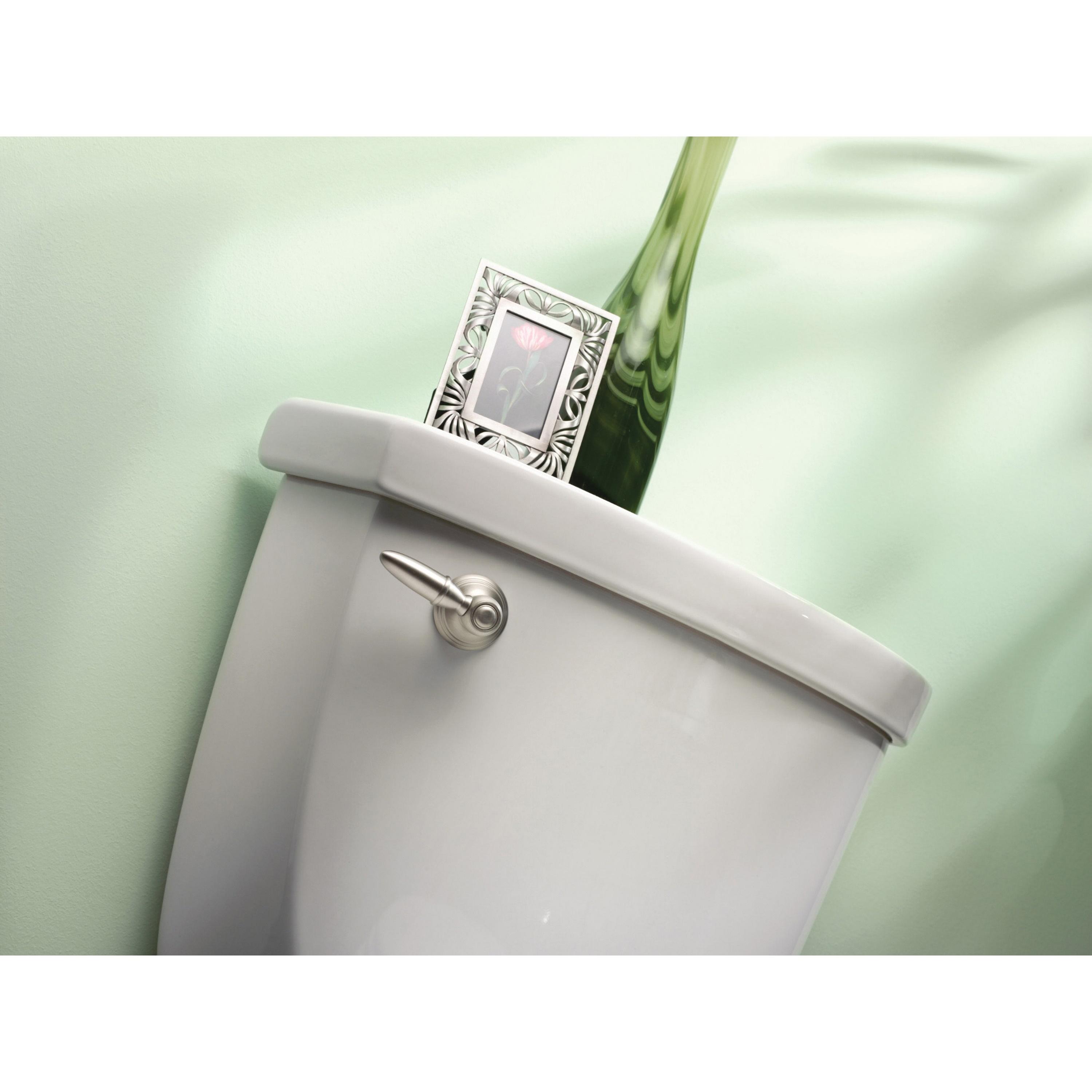 Moen&reg; YB5401BN 2044089