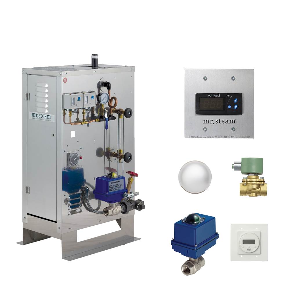 mr. steam® C1000C1A211