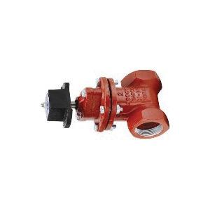 Matco-Norca™ 2 inch Cast Iron Resilient Wedge Gate Valve, 10RS08, FIP x FIP thumbnail 2