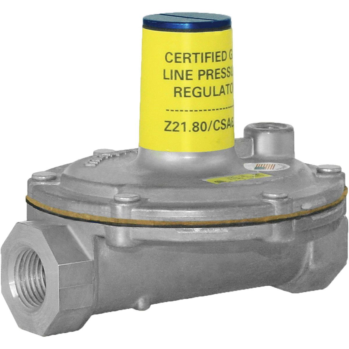 Gas Meters & Regulators