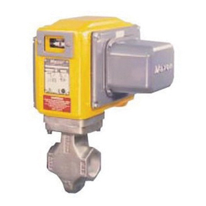 Maxon® 250SMA11