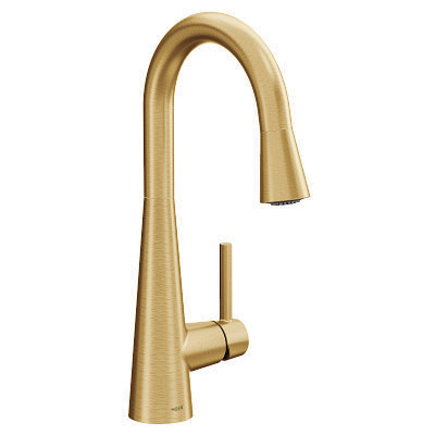 Moen&reg; 7664BG 2495444