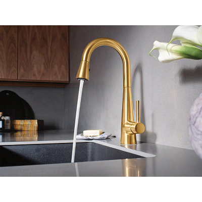 Moen&reg; 7664BG 2495444