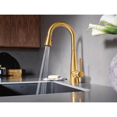 Moen&reg; 7664BG 2495444